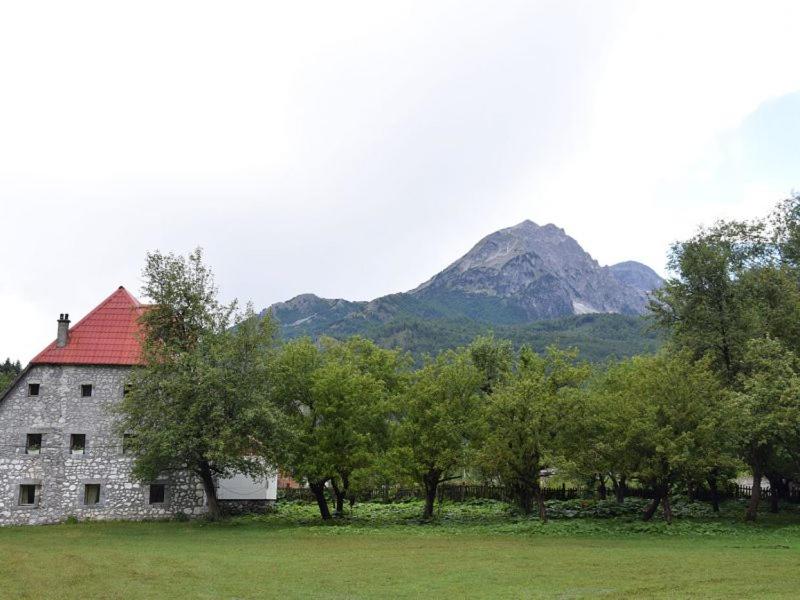 Příroda nedaleko bed and breakfast