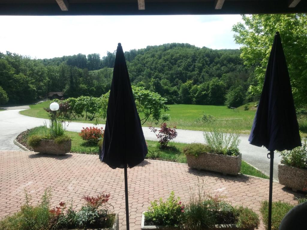 Příroda nedaleko apartmánu