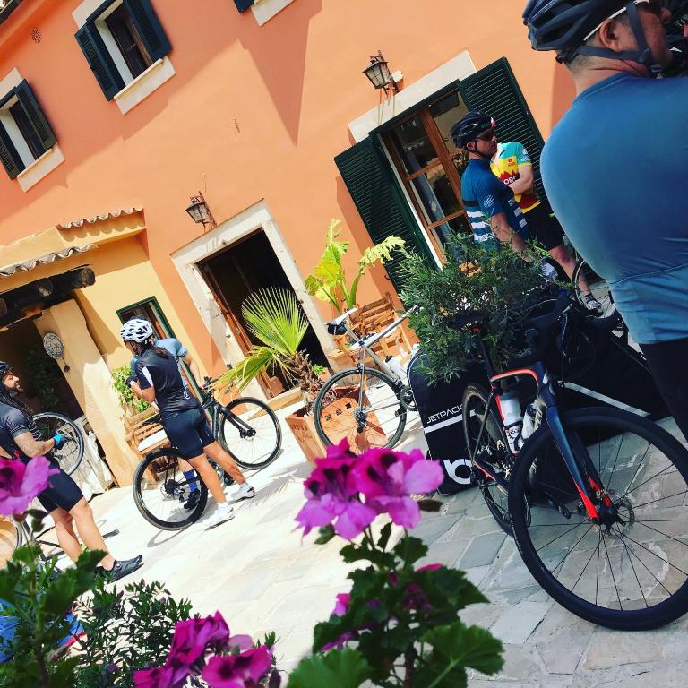 Jízda na kole v ubytování Petit Hotel Alaro nebo okolí