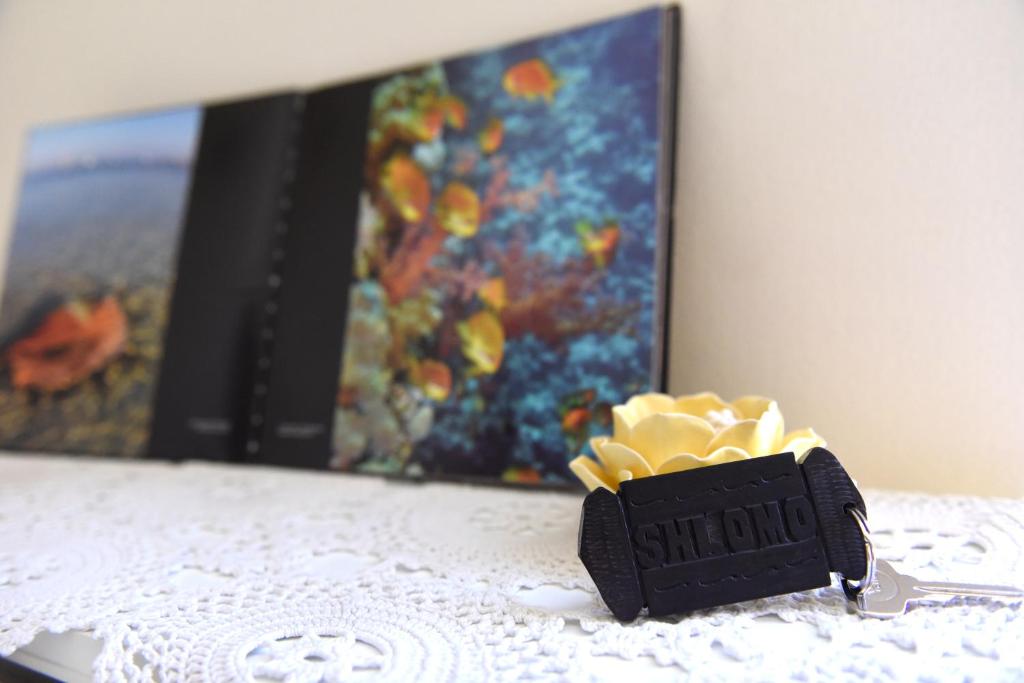 a small black object on a table in front of a painting at Sweet Home, Only 7 Min to the beach - By SEAELO EILAT in Eilat
