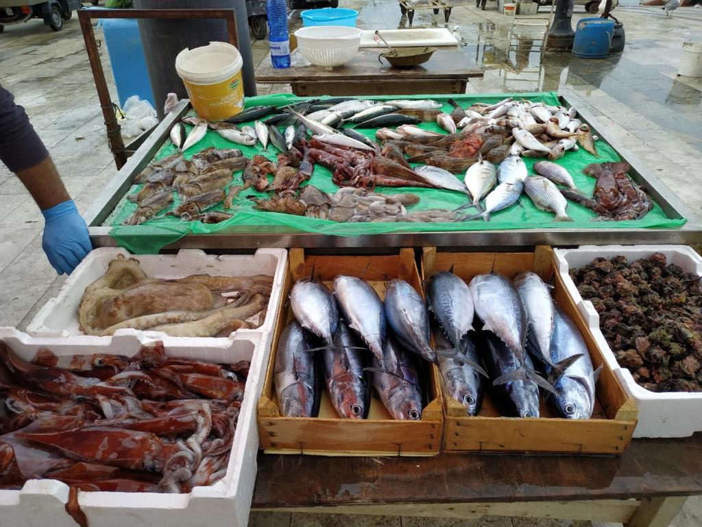 Cibo presso l'appartamento o nelle vicinanze