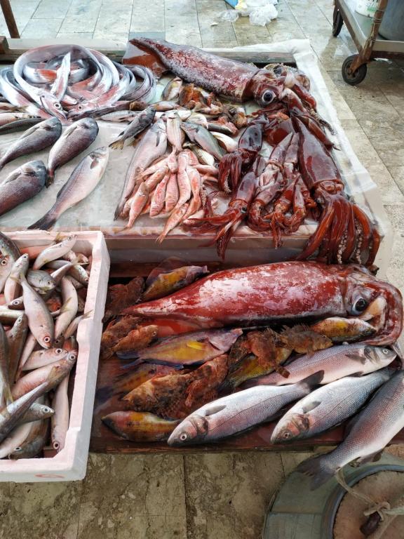 Altri animali domestici presso l'appartamento o nei dintorni