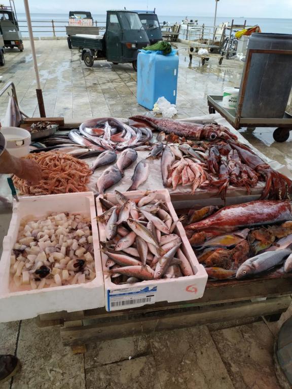 Foto dalla galleria di Aspra al delfino blu a Bagheria