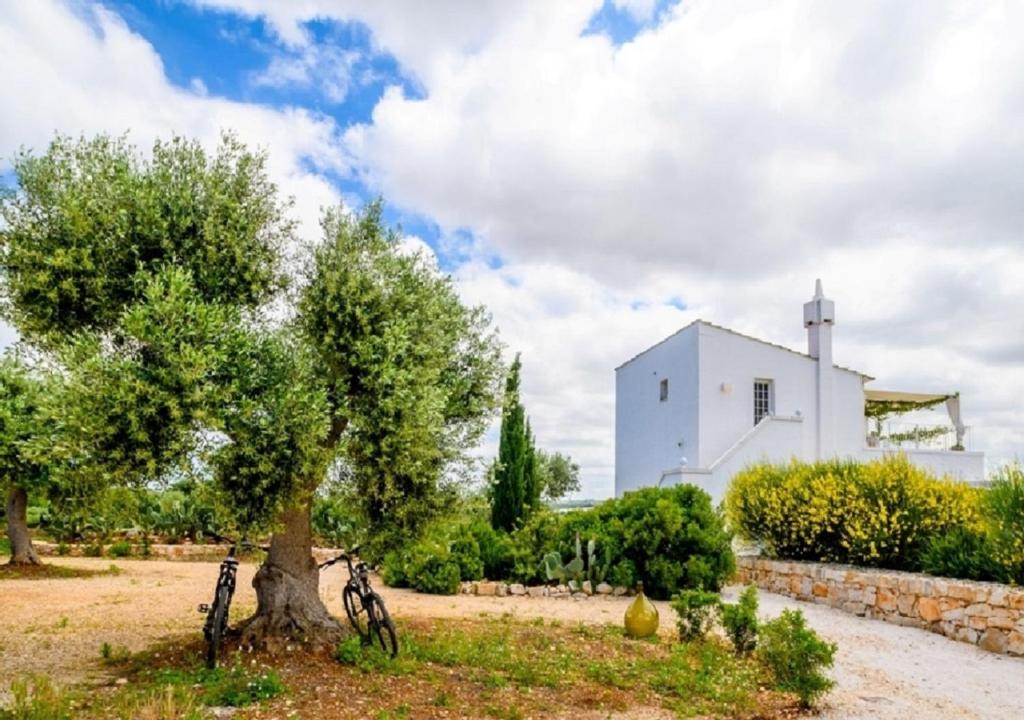 ein Fahrrad, das neben einem Baum vor einem Gebäude geparkt ist in der Unterkunft Masseria Montefieno in Castellana Grotte