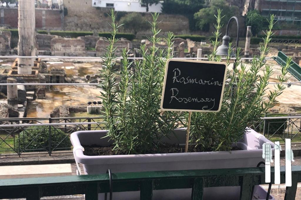 Fotografia z galérie ubytovania Tra le Colonne v destinácii Pozzuoli
