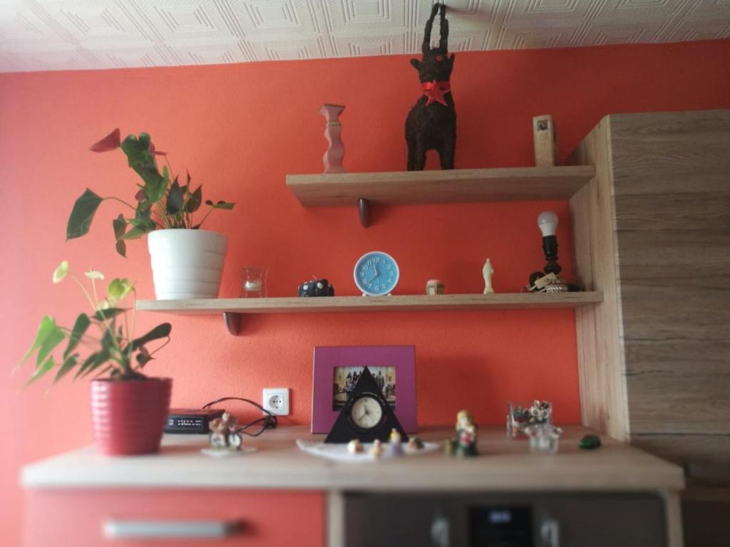 a room with orange walls and a desk with shelves at River View Apartment Gospic in Gospić