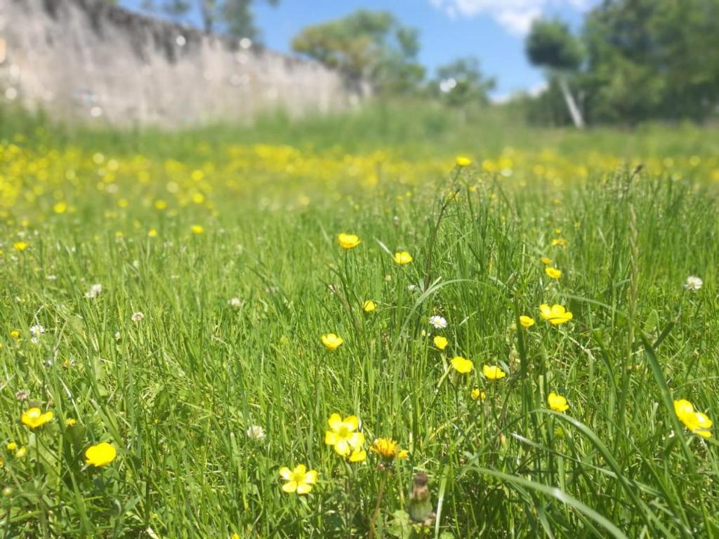 River View Apartment Gospic - 19