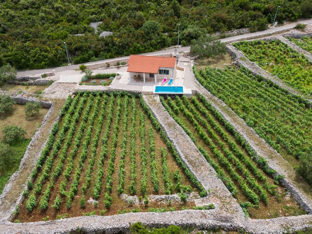 Bazén v ubytování Vineyard House & Olive Grove House nebo v jeho okolí