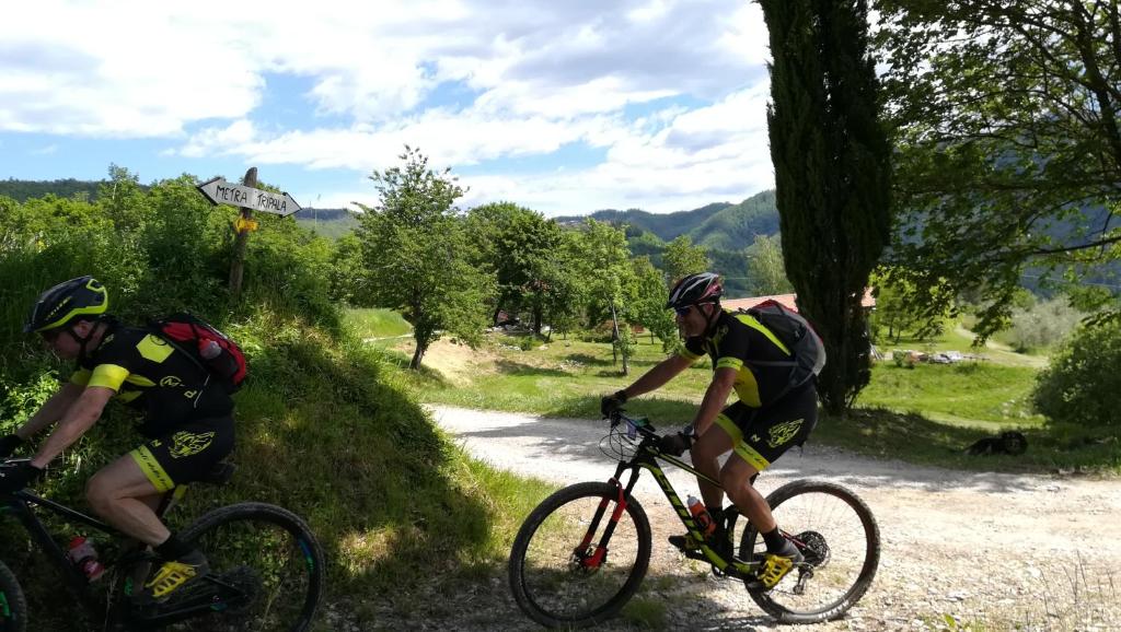 Jízda na kole v ubytování Agriturismo Tripala nebo okolí