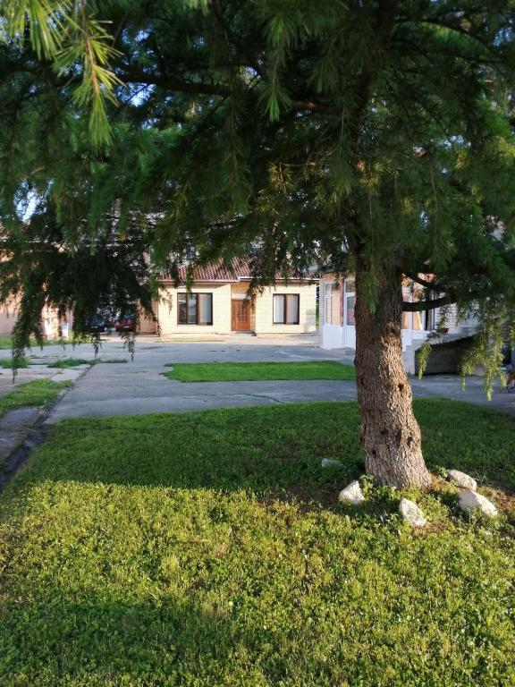 Zahrada ubytování Apartman studio Katarina