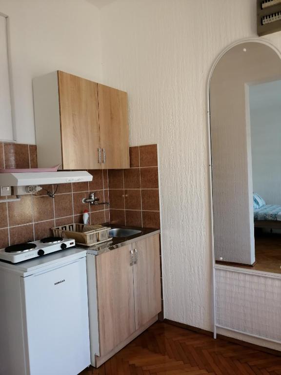 Kuchyň nebo kuchyňský kout v ubytování Apartman studio Katarina