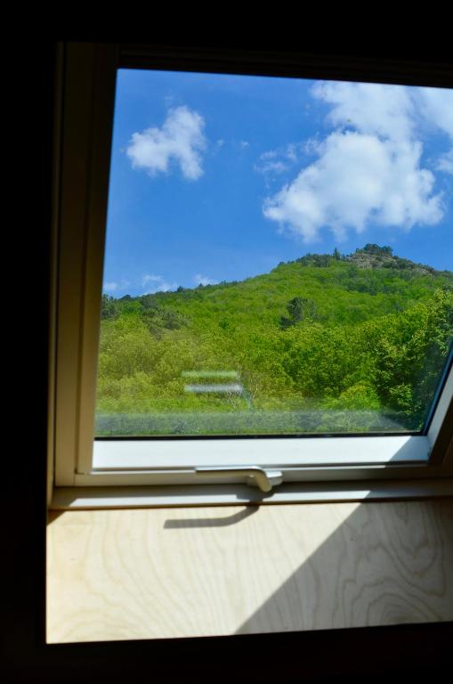 Solar da Castanha - Forest House - 5