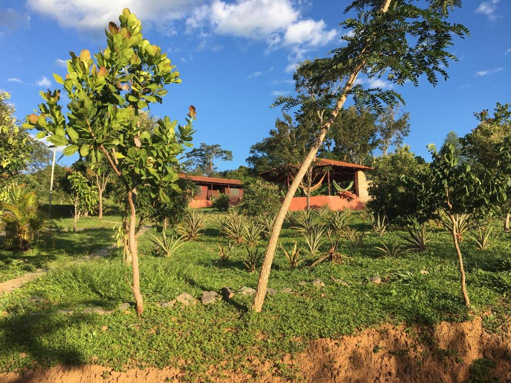  Rancho Ecologico Oasis de Luz