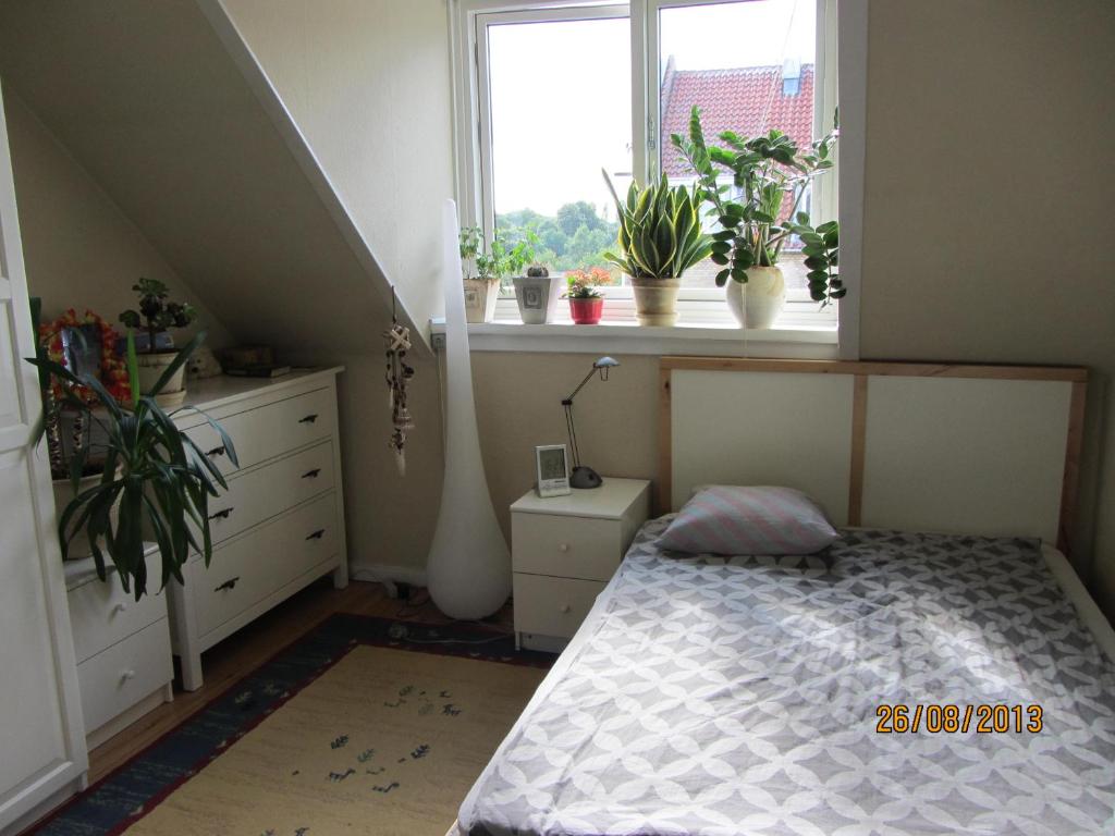 Säng eller sängar i ett rum på Cosy room in sydhavn