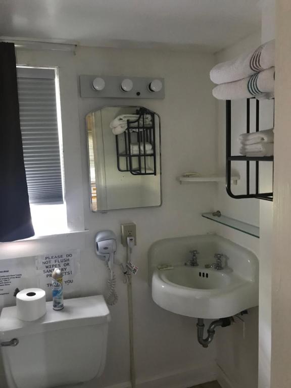 een badkamer met een wastafel, een toilet en een spiegel bij Evergreen Motel in Oswego