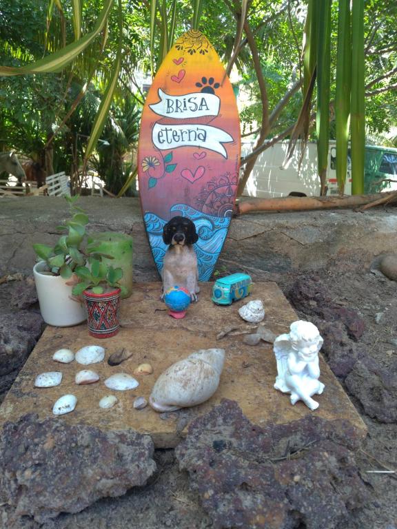  Morada da Brisa