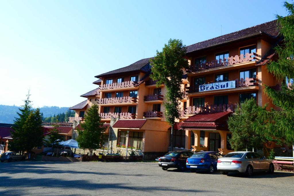 un grand bâtiment avec des voitures garées dans un parking dans l'établissement Hotel Bradul, à Durau