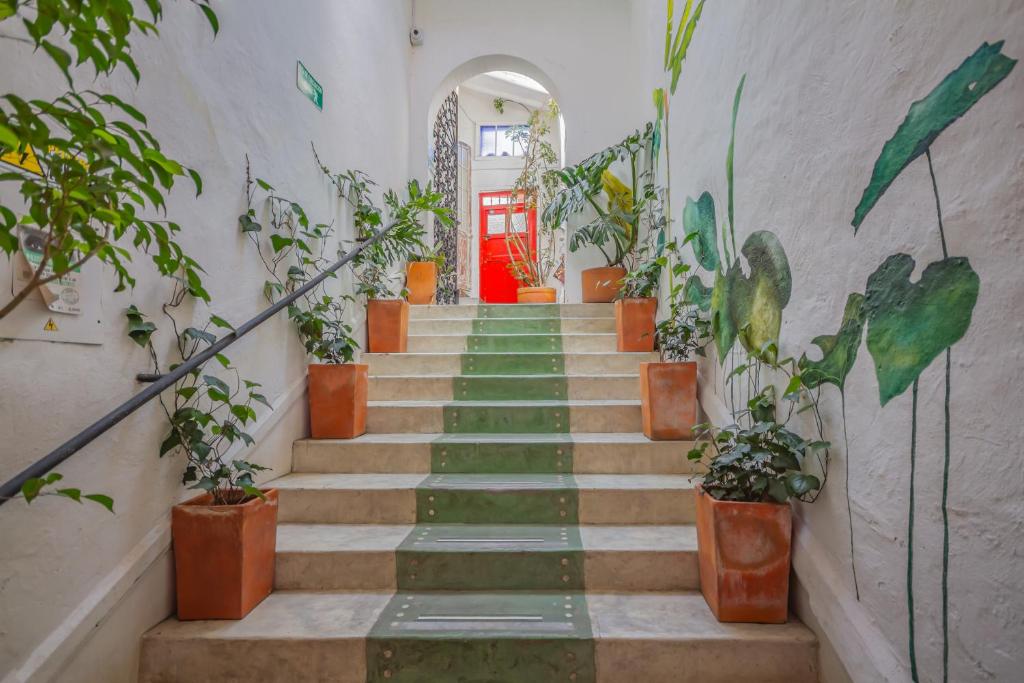 un escalier avec des plantes en pot et une porte rouge dans l'établissement Botanico Hostel, à Bogotá