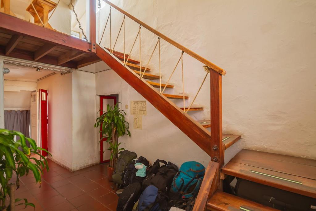 Fotografie z fotogalerie ubytování Botanico Hostel v destinaci Bogotá