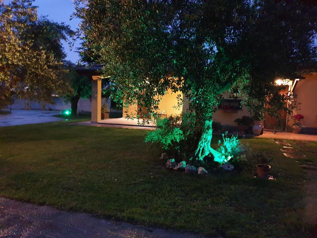 Vonkajšia záhrada v ubytovaní L'Antico Vigneto