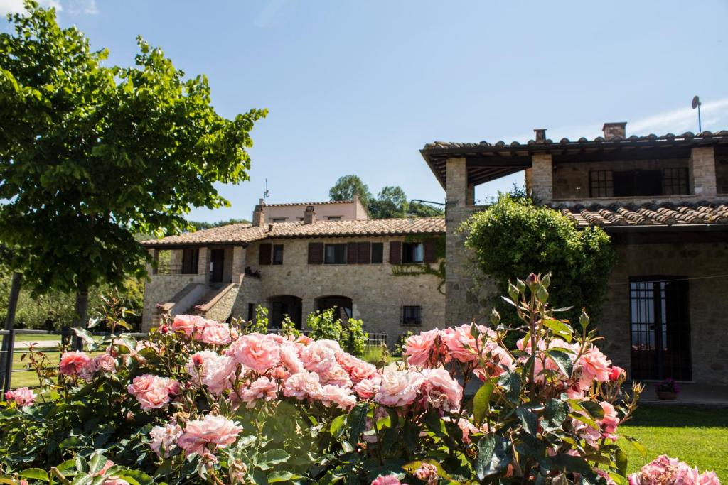 Zahrada ubytování Agriturismo Poggio del Bolognino