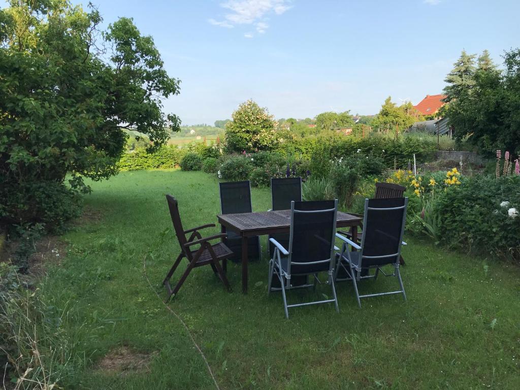 une table et des chaises assises dans l'herbe dans l'établissement 4 Kreuzstraße Laaschhof, à Nusbaum