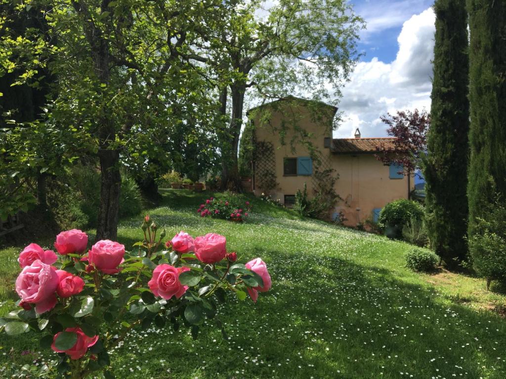 Zahrada ubytování Appartamento con patio privato e giardino tra Pisa e Firenze