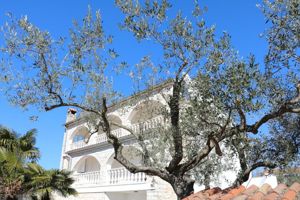 a building with a tree in front of it at Villa Kiki in Rovinj