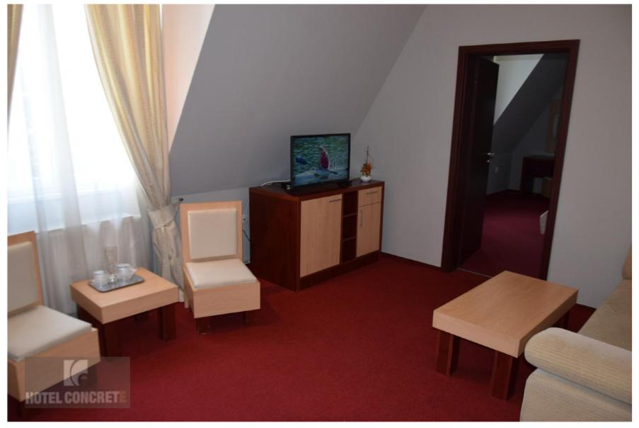 TV a/nebo společenská místnost v ubytování Hotel Concrete
