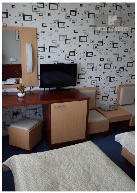 TV a/nebo společenská místnost v ubytování Hotel Concrete