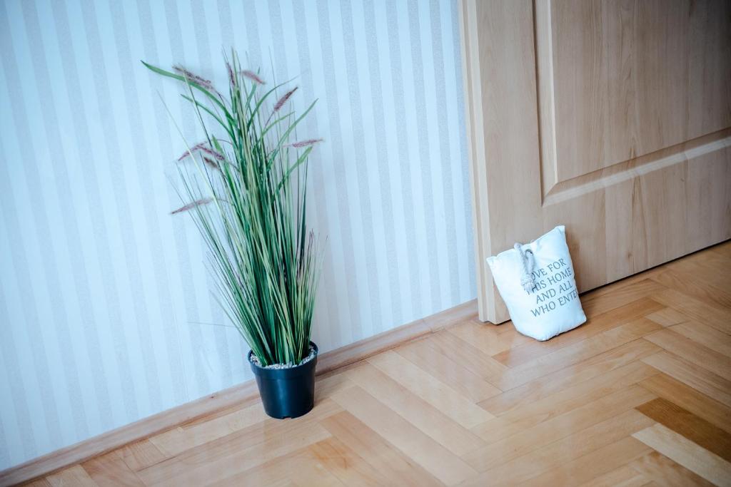 Fotografia z galérie ubytovania Hollo Apartment - PRIVATE GARAGE - A/C v Budapešti