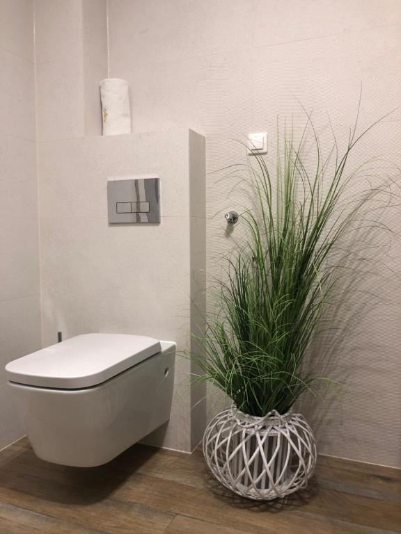 Fotografia z galérie ubytovania Apartament Homole F1 v destinácii Szlachtowa