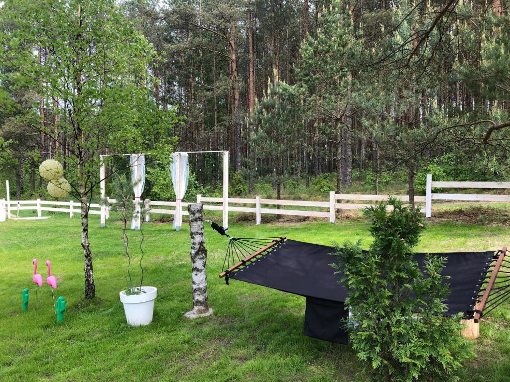 Zahrada ubytování Bajkowy domek Villa Rosa na Kaszubach