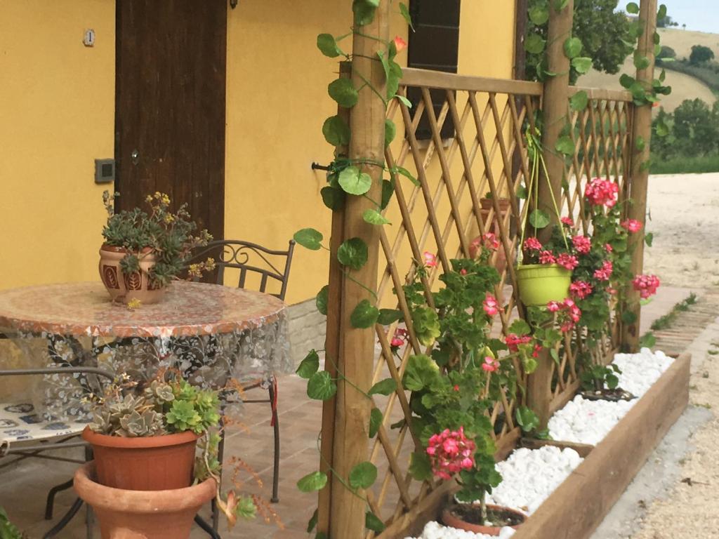 A garden outside Agriturismo Fattoria del Colle