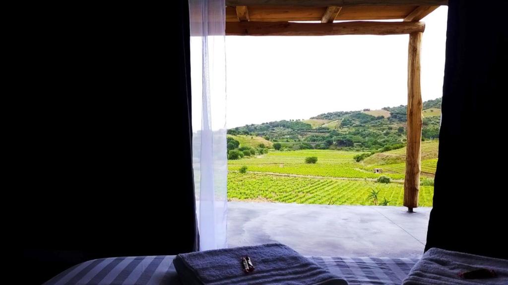 um quarto com uma janela com vista para uma vinha em Les cabanons de Mémé Jeannette em Port-Vendres