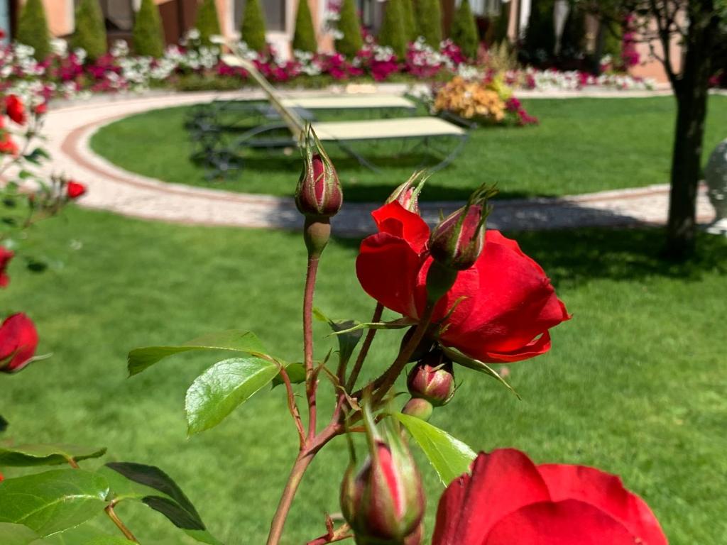 Hotel Olimpia Venice, BW Signature Collection 3sup - Resim 23