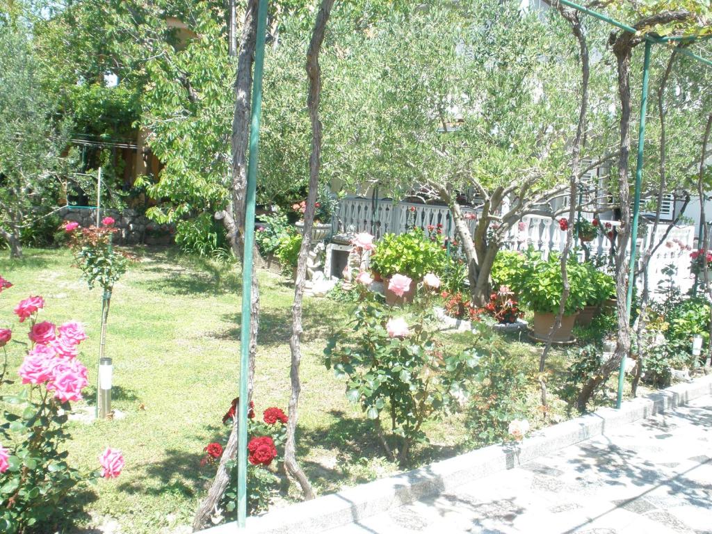 Zahrada ubytování Apartmani i sobe Mara
