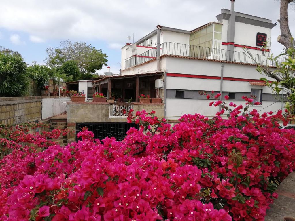 un jardín de flores rosas frente a un edificio en Hotel Sibilla Residence, en Pozzuoli