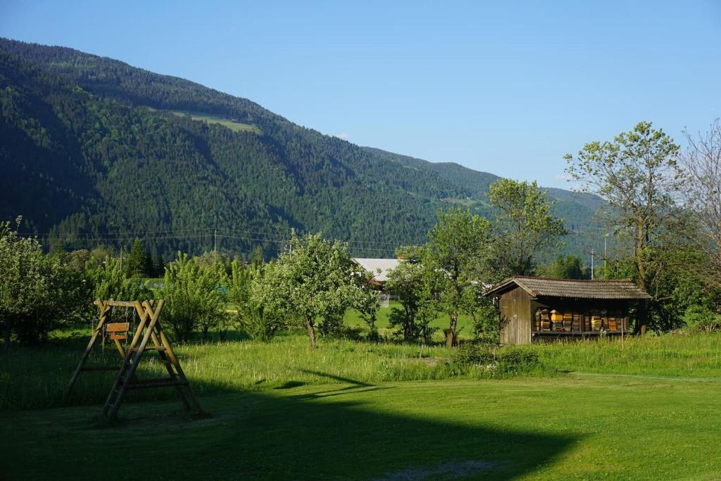 Příroda nedaleko apartmánu