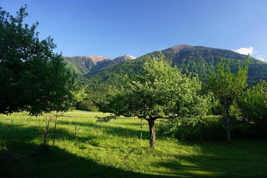 Příroda nedaleko apartmánu