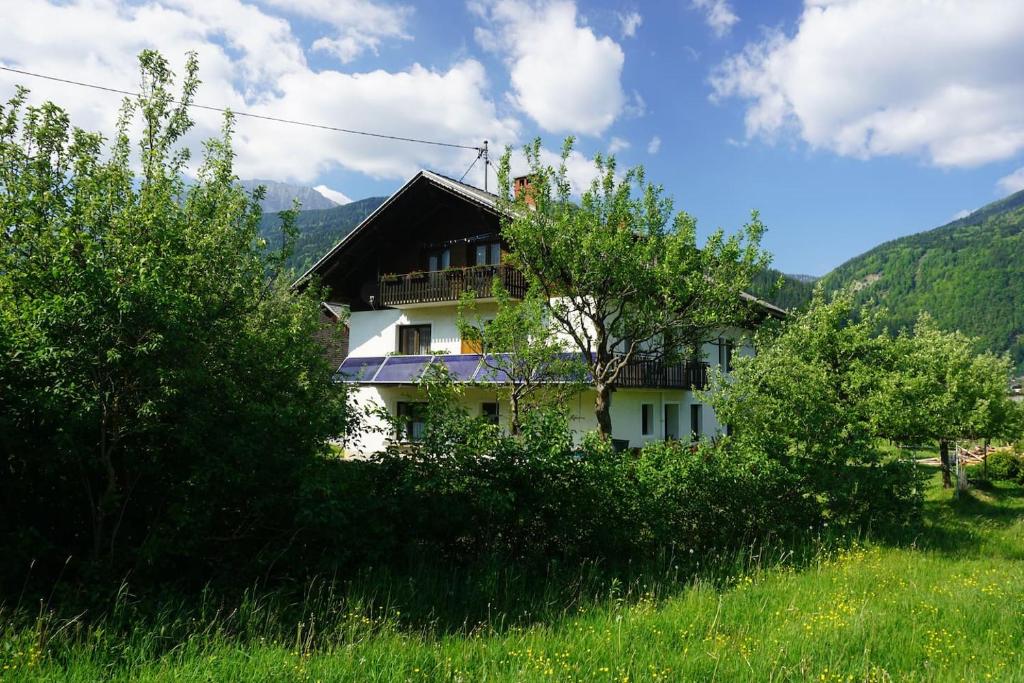 Příroda nedaleko apartmánu