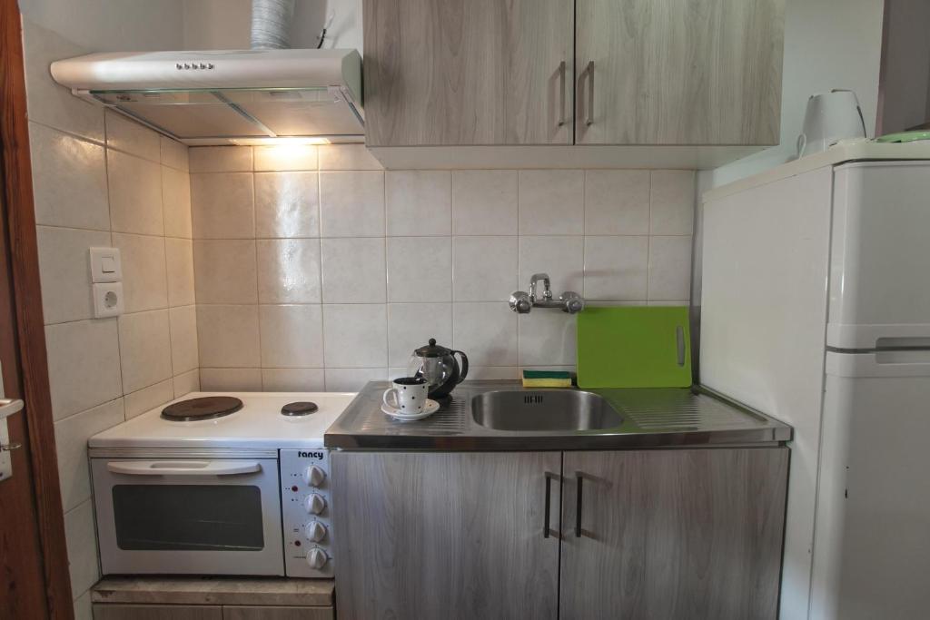 Kuchyň nebo kuchyňský kout v ubytování Sofia Apartments - Kantia