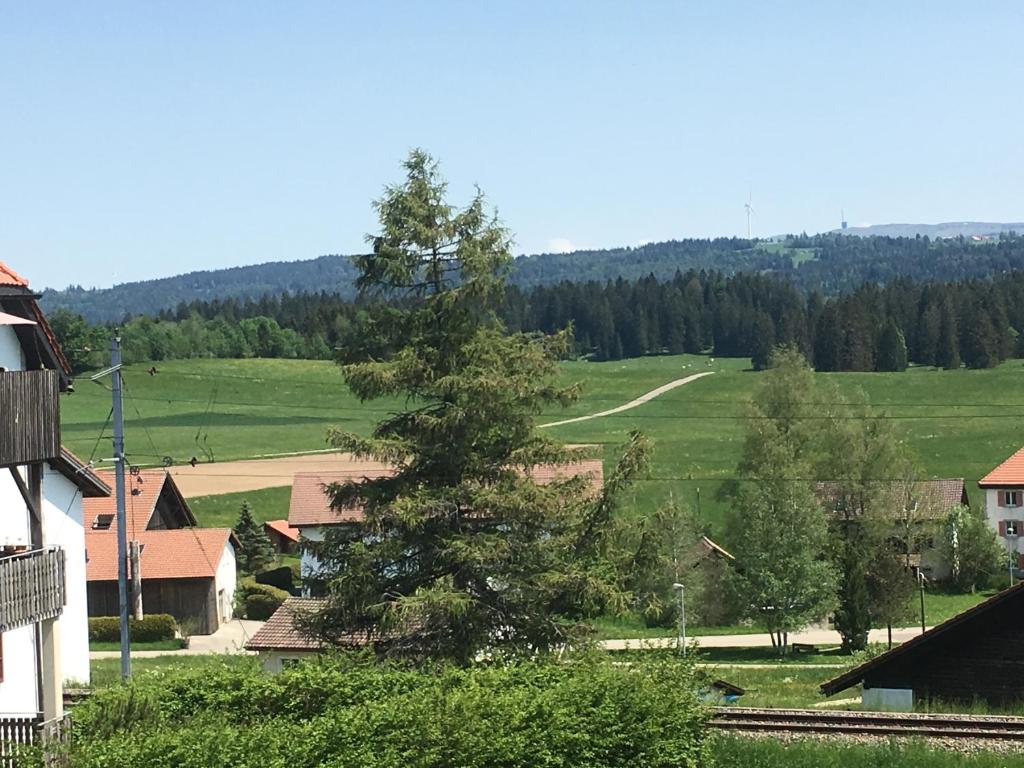 Příroda nedaleko bed and breakfast