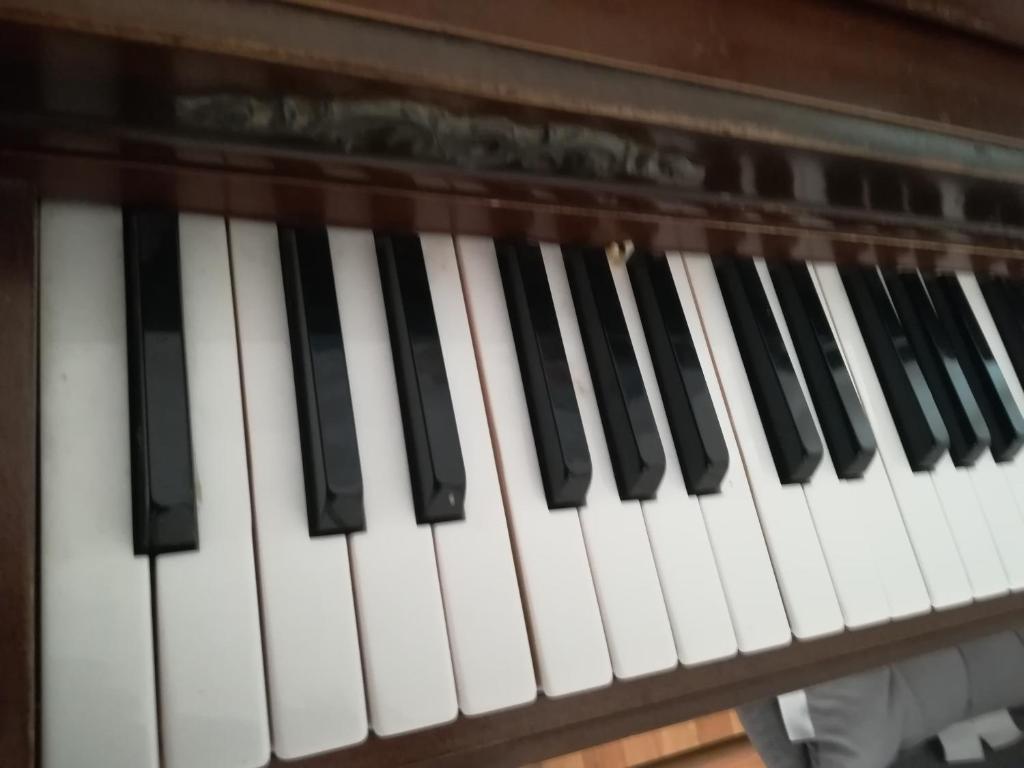 un primer plano de un teclado de piano en The Piano Apartment en Zavalatica