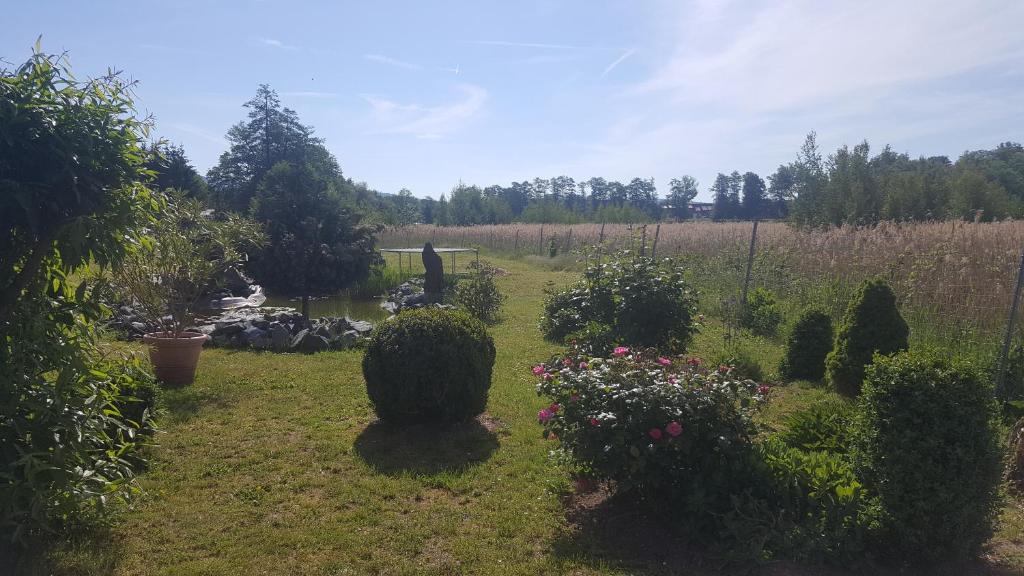 Zahrada ubytování Ferienhaus am Teich