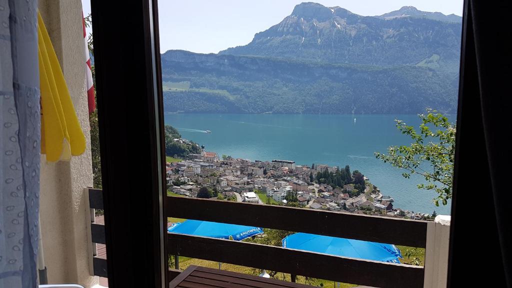 Příroda nedaleko hotelu
