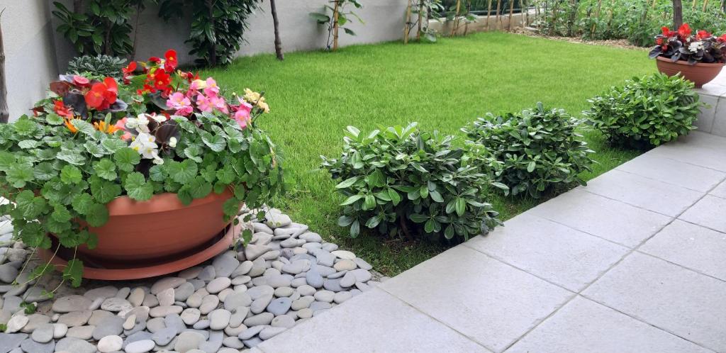 Zahrada ubytování Apartment Sunce