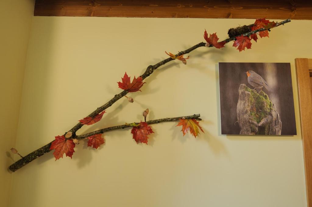 Fotografie z fotogalerie ubytování Hostal Rural Iratiko Urkixokoa v destinaci Orbaiceta