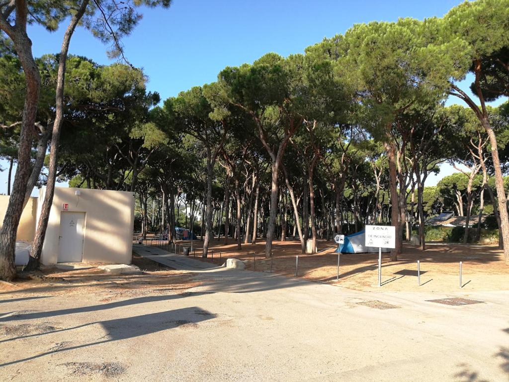 Fotografie z fotogalerie ubytování Camping La Buganvilla v destinaci Marbella