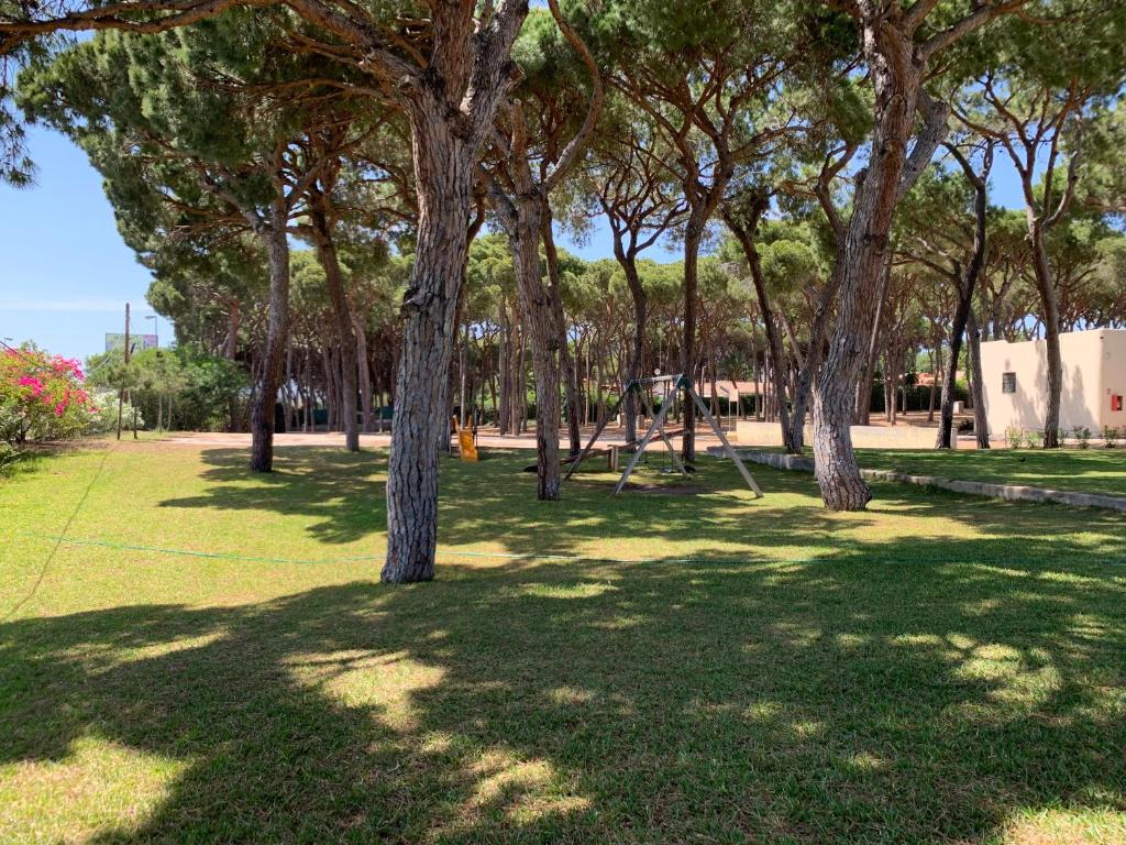 Zahrada ubytování Camping La Buganvilla